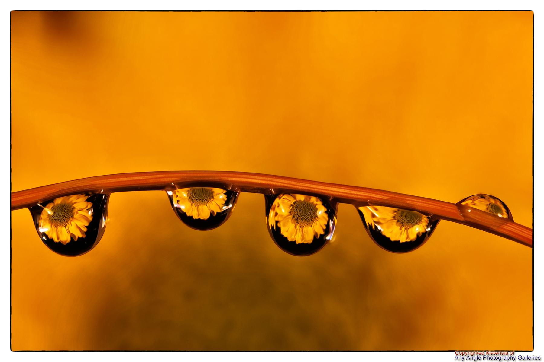 Water Droplet Refractions 1