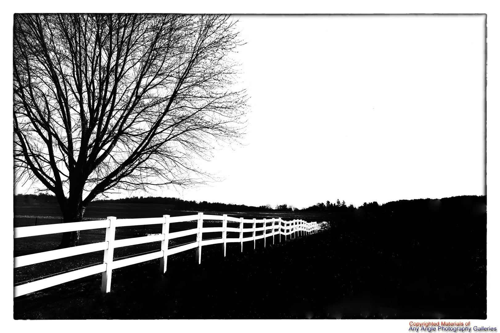 Lancaster Fence