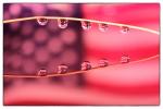Water Droplets Flag